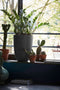 Capi Europe - Vaas elegant laag Smooth NL - 26x36 - Zwart - Opening Ø20 - Bloempot voor binnen en buiten - Levenslang garantie - Breukbestendig - 100% Recyclebaar - CO2 Neutraal geproduceerd - KBL781