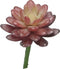 Nova nature - Kunst Sedum pick bordeaux - 16 cm