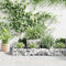 vidaXL - Gabion - plantenbak - 120x120x20 - cm - gegalvaniseerd - staal