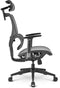Sharkoon OfficePal C30M - Gaming chair - Grijs