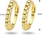 Marie Celeste - Klapoorringen - Bolletjes 10 mm - Goud