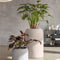 Lechuza Havalo 60 Moon Grey