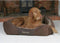 Scruffs Chester Box Bed - Hondenmand Stevig - Anti-Slip - Wasbaar - Bruin - L - 75 x 60 cm