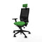 Bureaustoel Piqueras y Crespo 3D066N2 Groen