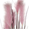 Decoratieve plant DKD Home Decor Roze Stof Staal Plastic PVC (40 x 40 x 180 cm)