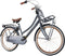Popal Daily Dutch Basic+ N3 - Kinder Transportfiets - 24 Inch - Petrol Blauw