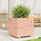 vidaXL - Plantenbak - 50x50x49,5 - cm - massief - douglashout