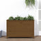 vidaXL - Plantenbak - verhoogd - 119,5x40x78 - cm - massief - grenen - honingbruin