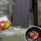Gardigo Live Mouse Trap Niet dodelijke val Functies: Lokstof 1 stuk(s)