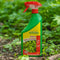 ECOstyle Ultima Zevenblad Spray Onkruidverdelger - Voor Lastig te Bestrijden Onkruid - Bestrijdt Blad & Wortel - Voorkomt Hergroei - Werkt Binnen 3 uur - 750 ML