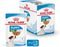 Royal Canin Mini - Puppy - Natvoer Hond - Pouch - 12 x 85 g