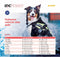 Julius-K9 IDC Powertuig - Hondentuig - S - Zwart