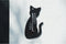 Furniture Limited - Wandthermometer kat zwart