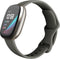 Fitbit Sense - Smartwatch - Stressmeting en huidtemperatuursensor - Grijs