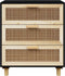 vidaXL - Dressoir - 60x30x70 - cm - massief - grenen - hout - en - rattan - zwart