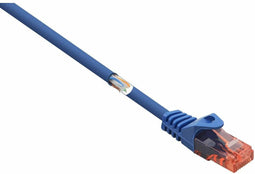 Renkforce RF-5043878 RJ45 Netwerkkabel, patchkabel CAT 6 U/UTP 0.25 m Blauw Snagless, Halogeenvrij 1 stuk(s)