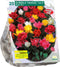 Baltus - Bollen Tulipa Dubbel mix 20 stuks