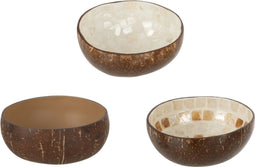 J-Line Halve kokosnoot bamboe bol D14x6,5cm - Set van 3 - Wit/Bruin/Beige