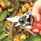 Felco Snoeischaar Classic 6 - Handmatig - Ergonomisch - 20mm knipopening
