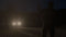Bohemia Interactive DayZ - PS4 - Avontuur Horror MMO Shooter