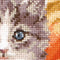 Thea Gouverneur Borduurpakket Halloween Kitten 738A - DMC garen - Borduren voor volwassenen - Aida