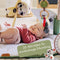 Tiny Love Boho Chic Luxe - Developmental Gymini - 20 speelactiviteiten - met houten boog