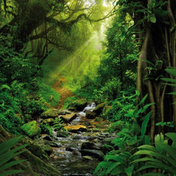Buiten canvas 58x58 cm jungle Anna's CollectionAnna's Collection
