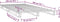 vidaXL - Palletbed - massief - grenenhout - grijs - 100x200 - cm