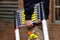 OriginalDIY Ladder - Telescopisch - Antislip - Max. 150kg - 380 x 48 x 8cm