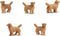 Safari Golden Retriever Speelgoedfiguren Junior Beige 192 Stuks