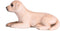 Mojo Farmland Labrador Puppy - 387272