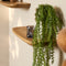 Wandplank Gusta Naturel | 60 cm | Set van 3