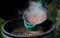 Big Green Egg - Dutch Oven - Ovaal - Geëmailleerd - 5,2Liter
