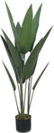 Decoratieve plant DKD Home Decor Groen PE (40 x 40 x 115 cm)