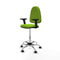 Piqueras y Crespo B2D05RF - Bureaustoel - Hoogteverstelbaar met armleuning - Pistache