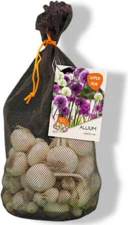 Baltus - Allium variety mixed per 50 bloembollen