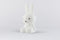 Mr Maria - Nijntje Star Light - 50 cm - LED lamp - dimbaar - Wit