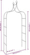 vidaXL-Tuinbogen-2-st-120x38x260-cm-staal-zwart