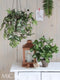 Mica Decorations Tradescantia - Kunst Hangplant - H54 cm met groen-wit patroon en bordeaux rode accenten - Groen