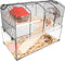 Flamingo Vitru 1 - Hamsterkooi - Glazen bodem met accessoires en looprad - Zwart - 51,5x29x40 cm