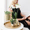 Kolibri Company | Gift set Christmas gold | Plantenset met witte Phalaenopsis Orchidee en Succulenten incl. keramieken sierpotten