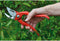 Berger Professionele Snoeischaar - 21.5 cm - Massief Staal - Knipt tot 2 cm Diameter