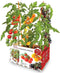 Kweekset Batlle Natuurlijke tomaten 30 x 19,5 x 16,2 cm 2,85 kg