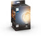 Philips Hue - Filament Globe L G125 E27 - White Ambiance - 550lm