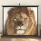 vidaXL - Projectiescherm - 16:9 - 120''