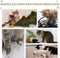 PawHut D30-326 - Kattenkrabpaal - 3 niveaus sisal en zeewier - Kaki en bruin