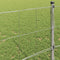 vidaXL - Veldomheining - 0,8x100 - m - Gegalvaniseerd - Staal