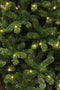 Black Box Trees Charlton Kunstkerstboom met LED Verlichting - H215 cm - Groen