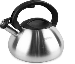 MAESTRO MR-1306 - Waterkoker 3L - Roestvrij staal met fluittoon - Zilver