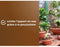 Bonsai grond - BRUIN GOUD - OBRTBON6U - 6L - Betere wortelvorming